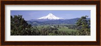 Trees and farms with a snowcapped mountain in the background, Mt Hood, Oregon, USA Fine Art Print