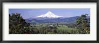 Trees and farms with a snowcapped mountain in the background, Mt Hood, Oregon, USA Fine Art Print