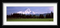 Field with a snowcapped mountain in the background, Mt Hood, Oregon (horizontal) Fine Art Print