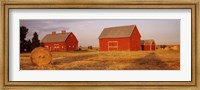 Red barns in a farm, Palouse, Whitman County, Washington State, USA Fine Art Print