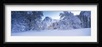 Oak trees and rock formations covered with snow, Half Dome, Yosemite National Park, California Fine Art Print