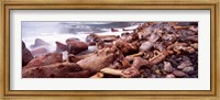 Driftwood on the beach, Oregon Coast, Oregon, USA Fine Art Print