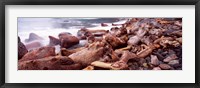 Driftwood on the beach, Oregon Coast, Oregon, USA Fine Art Print