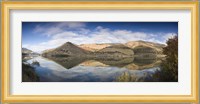 Reflection of Vineyards in the River, Cima Corgo, Duoro River, Portugal Fine Art Print