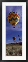 Hot air balloons rising, Hot Air Balloon Rodeo, Steamboat Springs, Colorado Fine Art Print