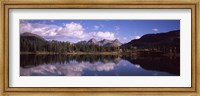 Reflection of trees and clouds in the lake, Molas Lake, Colorado, USA Fine Art Print