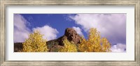 Clouds above aspen trees in autumn, Colorado Fine Art Print