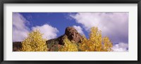 Clouds above aspen trees in autumn, Colorado Fine Art Print