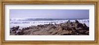 Waves in the sea, Carmel, Monterey County, California, USA Fine Art Print