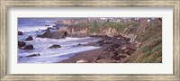 Beach in San Luis Obispo County, California Fine Art Print