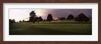 Trees in a golf course, Montecito Country Club, Santa Barbara, California, USA Fine Art Print