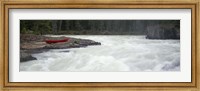 River flowing in a forest, Kicking Horse River, Yoho National Park, British Columbia, Canada Fine Art Print
