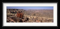 Aloe growing at the edge of a canyon, Fish River Canyon, Namibia Fine Art Print