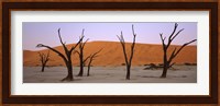 Dead trees in a desert at sunrise, Dead Vlei, Sossusvlei, Namib-Naukluft National Park, Namibia Fine Art Print