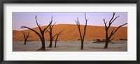 Dead trees in a desert at sunrise, Dead Vlei, Sossusvlei, Namib-Naukluft National Park, Namibia Fine Art Print