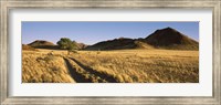 Trails passing through a desert, Namibia Fine Art Print