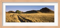 Trails passing through a desert, Namibia Fine Art Print