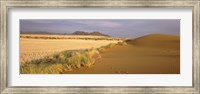 Animal tracks on the sand dunes towards the open grasslands, Namibia Fine Art Print