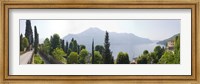 Trees with a lake in background, Lake Como, Villa Passalacqua, Moltrasio, Como, Lombardy, Italy Fine Art Print