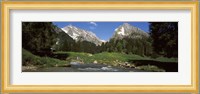 Stream flowing through a forest, Mt Santis, Mt Altmann, Appenzell Alps, St Gallen Canton, Switzerland Fine Art Print