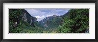 Forest, Lauterbrunnen Valley, Bernese Oberland, Berne Canton, Switzerland Fine Art Print