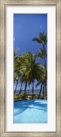 Palm Trees in Maui, Hawaii (vertical) Fine Art Print