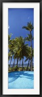 Palm Trees in Maui, Hawaii (vertical) Fine Art Print