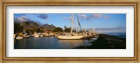 Sailboats in the bay, Lahaina Harbor, Lahaina, Maui, Hawaii, USA Fine Art Print