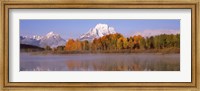 Reflection of trees in a river, Oxbow Bend, Snake River, Grand Teton National Park, Teton County, Wyoming, USA Fine Art Print