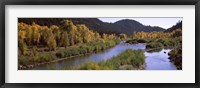 River flowing through a forest, Jackson, Jackson Hole, Teton County, Wyoming, USA Fine Art Print