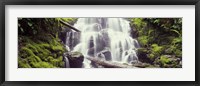 Waterfall in a forest, Waheena Falls, Hood River, Oregon, USA Fine Art Print