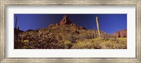 Organ Pipe Cactus National Monument, Arizona Fine Art Print