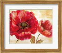 Passion for Poppies I Fine Art Print