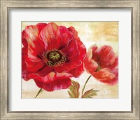 Passion for Poppies I Fine Art Print