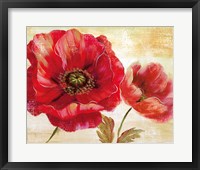 Passion for Poppies I Framed Print