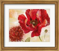 Passion for Poppies II Fine Art Print