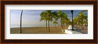 Palm trees on the beach, Las Olas Boulevard, Fort Lauderdale, Florida, USA Fine Art Print