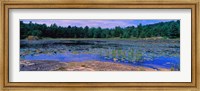 Pond in a national park, Bubble Pond, Acadia National Park, Mount Desert Island, Hancock County, Maine, USA Fine Art Print