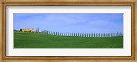 Farmhouse in a field, San Quirico d'Orcia, Orcia Valley, Siena Province, Tuscany, Italy Fine Art Print