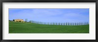 Farmhouse in a field, San Quirico d'Orcia, Orcia Valley, Siena Province, Tuscany, Italy Fine Art Print