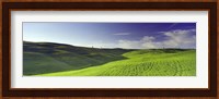 Clouds over landscape, Val D'Orcia, Siena Province, Tuscany, Italy Fine Art Print