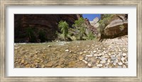 North Fork of the Virgin River, Zion National Park, Washington County, Utah, USA Fine Art Print