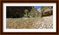 North Fork of the Virgin River, Zion National Park, Washington County, Utah, USA Fine Art Print