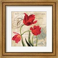 Botanist's Repository Fine Art Print