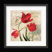 Botanist's Repository Framed Print