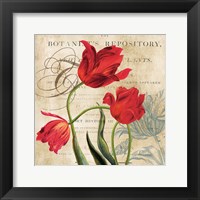 Botanist's Repository Fine Art Print