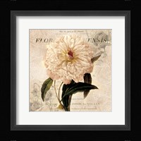White Peony I Fine Art Print