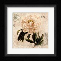 White Peony II Fine Art Print