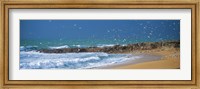 Waves breaking on the coast, Morbihan, Brittany, France Fine Art Print