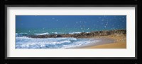 Waves breaking on the coast, Morbihan, Brittany, France Fine Art Print